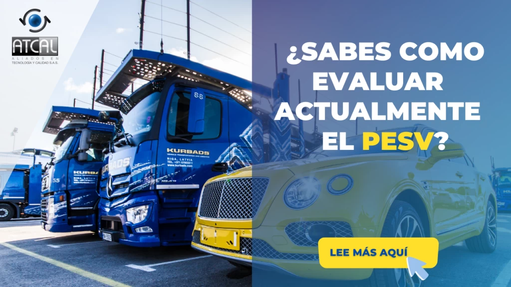 Seguridad vial