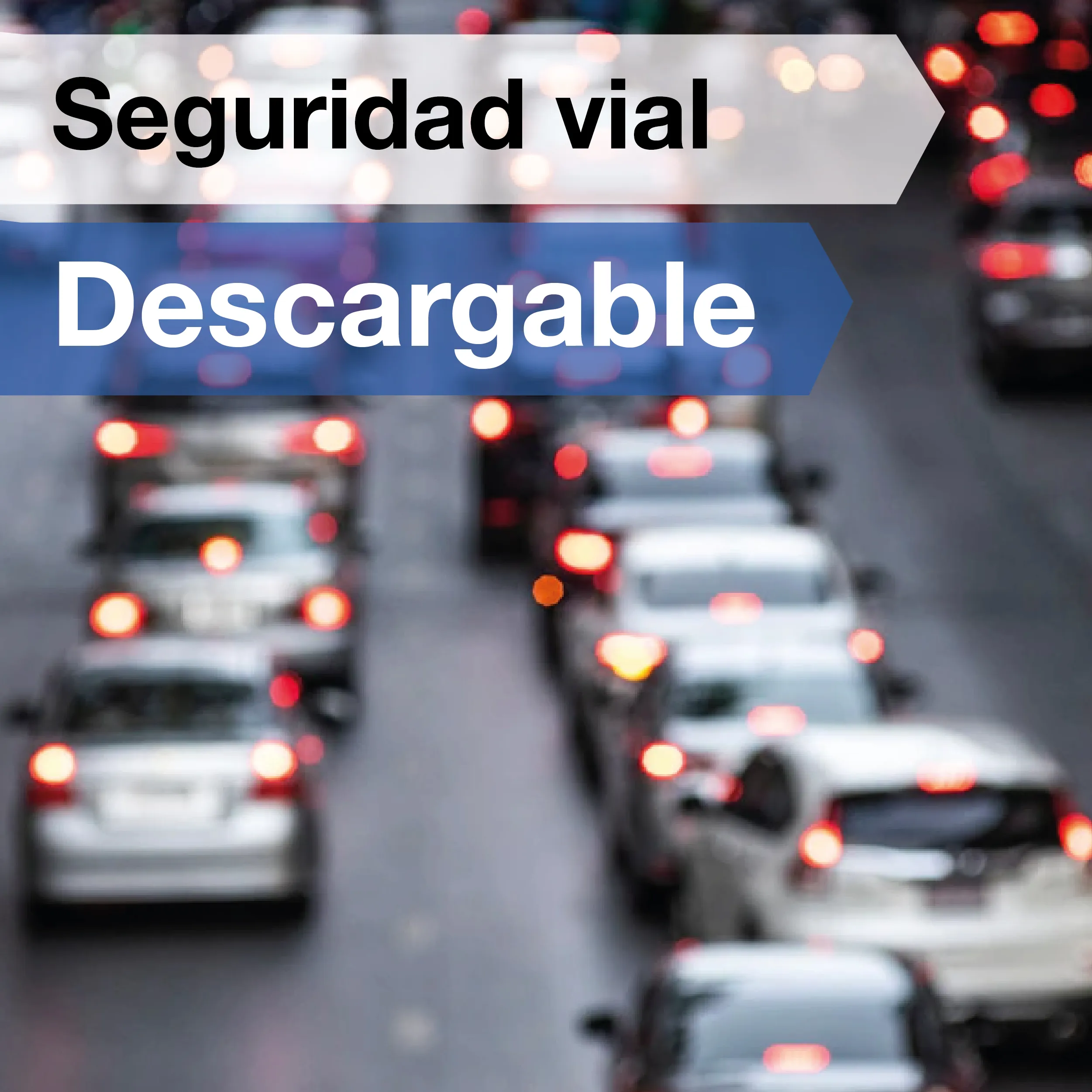 Seguridad vial