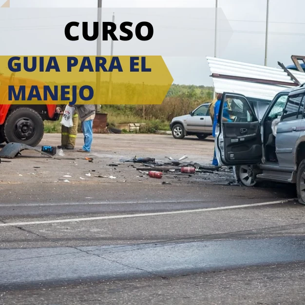 Seguridad vial