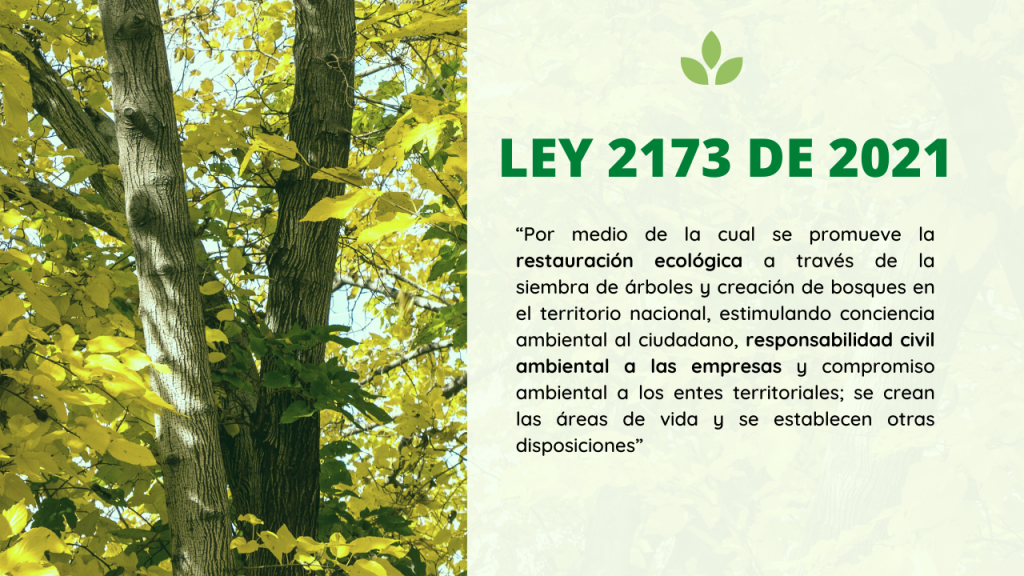 LEY 2173 DE 2021 CREACIÓN DE CONCIENCIA AMBIENTAL MEDIANTE LA SIEMBRA DE ÁRBOLES