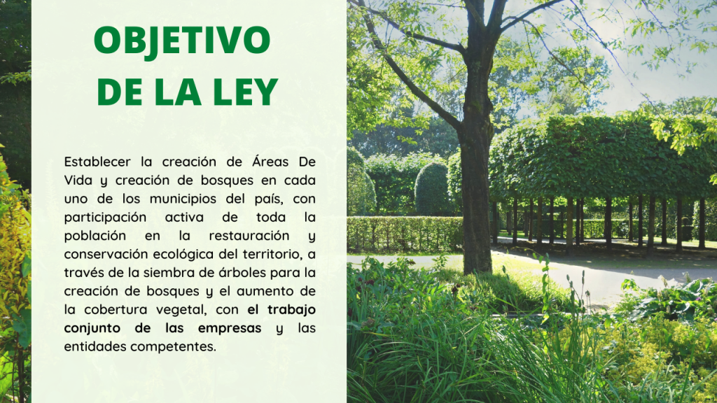 Aréas de vida
Bosques
Restauración ecológica
cobertura vegetal