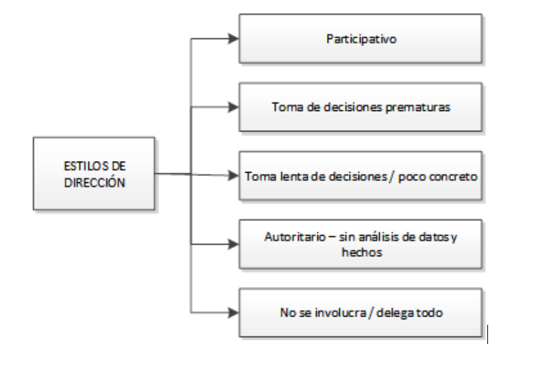 PROBLEMA ESTILO DE DIRECCION 