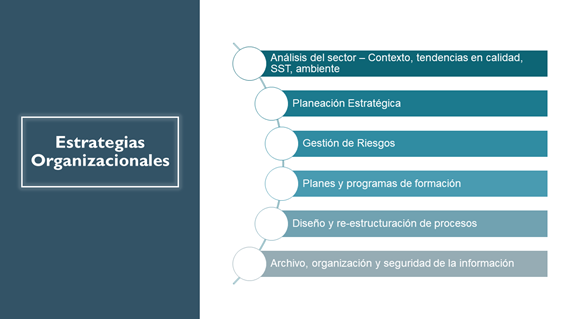 Estrategias organizacionales PROFESIONAL EN SISTEMAS DE GESTIÓN