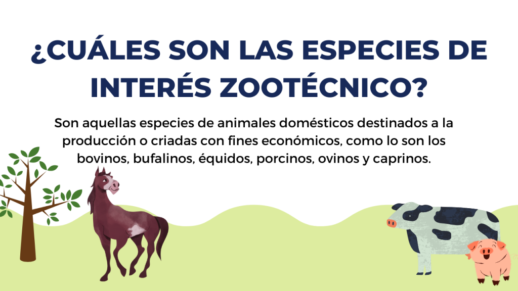 ESPECIES DE INTERÉS ZOOTÉCNICO- RESOLUCIÓN No.00001577