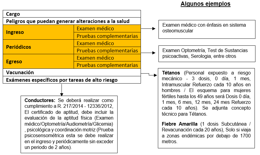 PROFESIOFRAMA
