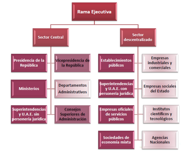 Rama ejecutiva, sector central: Presidente de la repúplica, Vicepresidencia de la república, ministerios, departamentos administrativos, superintendencias y U.A.E. sin personería jurídica, consejos superiores a administración, consejos superiores de administración.
Sector descentralizado: Establecimientos públicos, empresas industriales y comerciales, superintendencias y U.A.E. con personería jurídica, empresas sociales del estado, empresas oficiales de servicios públicos, institutos y tecnológicos, sociedad de economía mixta, agencias nacionales.