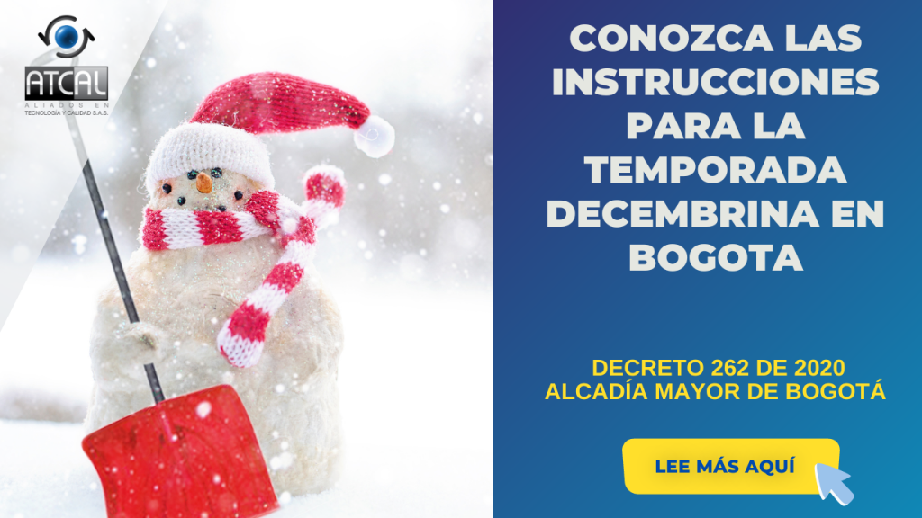 DECRETO 262 DE 2020